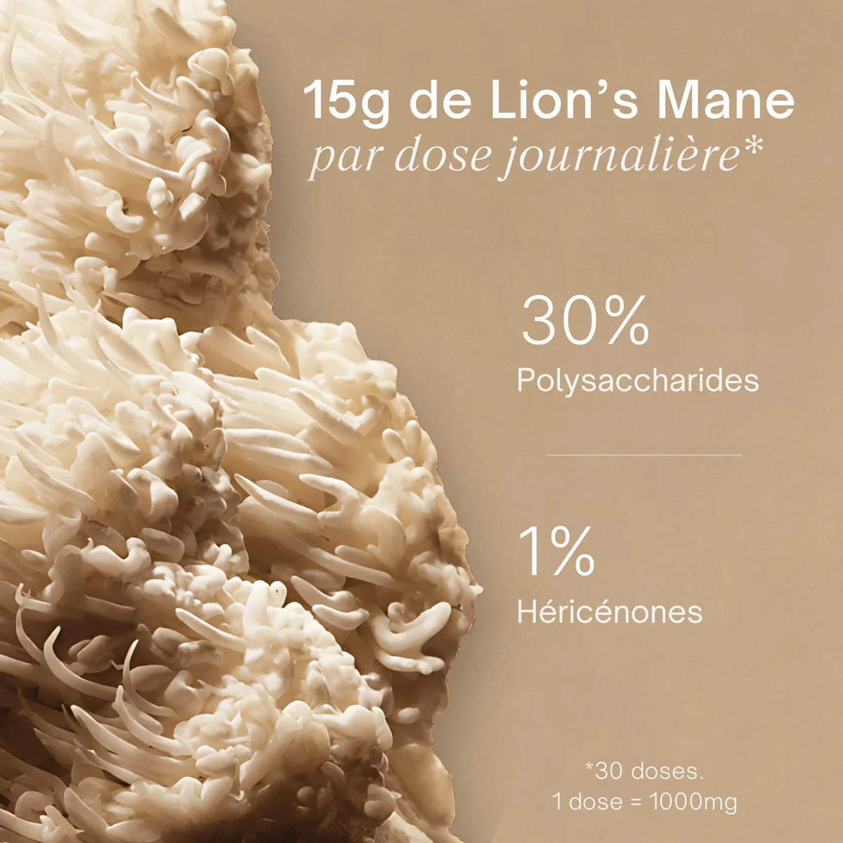 Champignon Lion's Mane frais avec dosage 15g par jour - 30% polysaccharides 1% héricénones