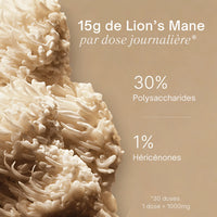 Lion’s Mane - Extrait en poudre
