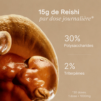 Reishi - Extrait en poudre