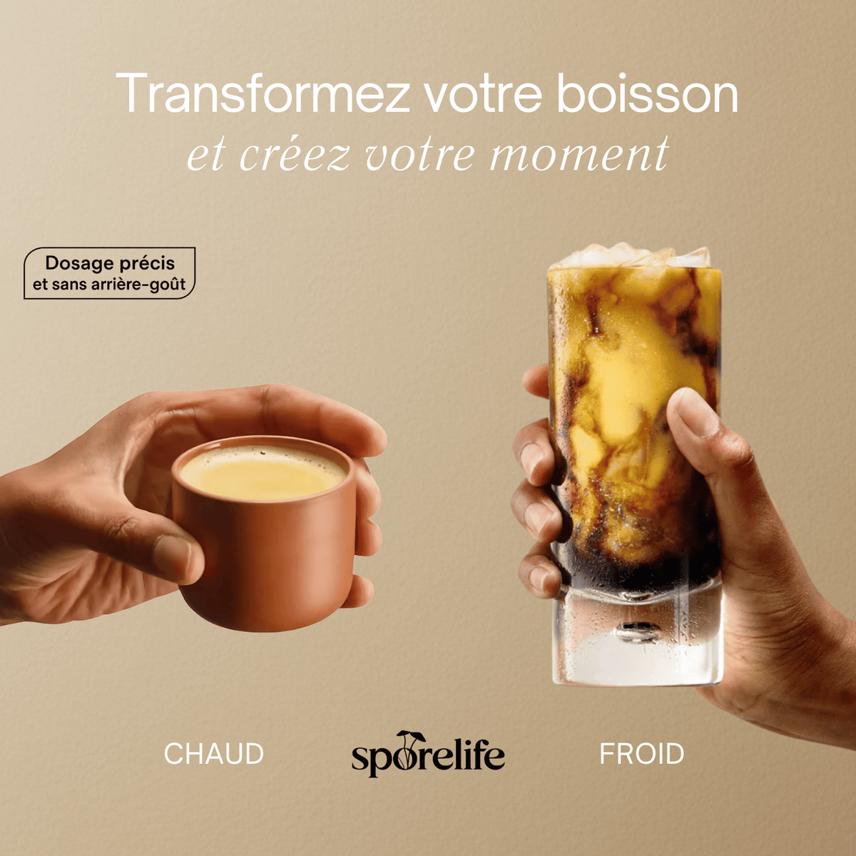 Reishi - Extrait en poudre