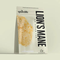 THÉ NOIR LION'S MANE